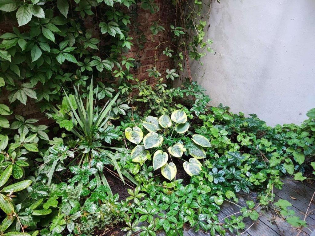 Central Vienna Apartment With Unique 40M2 City Garden & Self Check In 外观 照片